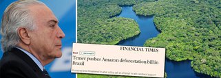 Jornal britânico diz que Michel Temer está trocando árvores por votos, ao concordar em apoiar as demandas do lobby rural do Brasil para facilitar a operação em áreas protegidas em troca de seu apoio, uma vez que tentar barrar, no Congresso, denúncia de corrupção contra ele; representantes de organizações ambientais internacionais, como a WWF, apontam que áreas florestais protegidas no Brasil, equivalentes ao tamanho de Portugal, estão sob ameaça de Temer e do poderoso lobby rural que almeja diminuir as áreas de conservação do país; na semana passada, o peemedebista enviou ao Congresso um projeto de lei que propõe reduzir o tamanho da floresta nacional de Jamanxim, no Pará, em 27%, e ainda conceder incentivo a ocupantes ilegais
