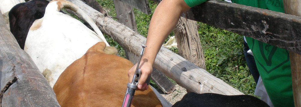 Durante todo o mês de maio será realizada a primeira etapa de 2017 da Vacinação Contra a Febre Aftosa no Piauí; até o dia 31, a Agência de Defesa Agropecuária do Estado do Piauí (Adapi), buscando a excelência da prevenção sanitária estadual, espera que todo o rebanho bovídeo piauiense, cerca de 1 milhão e 600 mil bovinos e bubalinos, seja vacinado pelos criadores