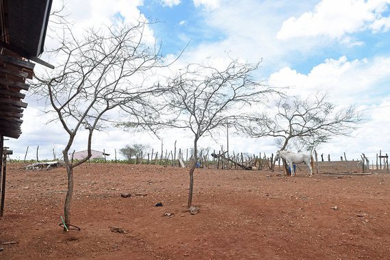 O Ministério da Integração Nacional reconheceu a situação de emergência no município sergipano de Ribeirópolis devido ao período prolongado de seca; medida é o primeiro passo para que a prefeitura possa receber o apoio federal para socorro, assistência, restabelecimento de serviços essenciais e recuperação de áreas danificadas; além de assegurar o apoio financeiro, material e logístico, complementar à atuação dos estados e municípios, o reconhecimento federal também viabiliza o acesso à outras medidas emergenciais como a renegociação de dívidas no setor de agricultura junto ao Banco do Brasil