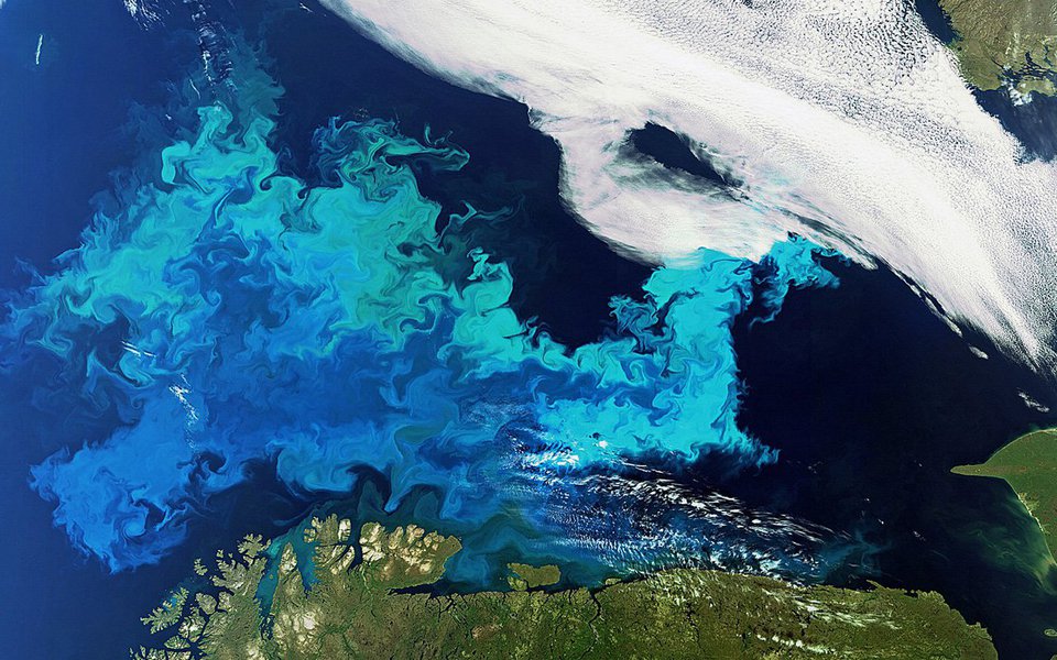 No Ártico, sob o gelo marinho florescem agora imensas colônias de fitoplâncton. Um problema sério, causado pelo aquecimento global, que pode afetar todo o ecossistema do Ártico. Os cientistas estão preocupados, mas Putin e Trump, os dois líderes mundiais mais poderosos, dizem que o fenômeno é benéfico pois permitirá o acesso mais fácil às riquezas escondidas do Polo Norte. Na foto de abertura, mancha verde de fitoplâncton no Mar Ártico ao norte do Canadá, em fotografia por satélite.