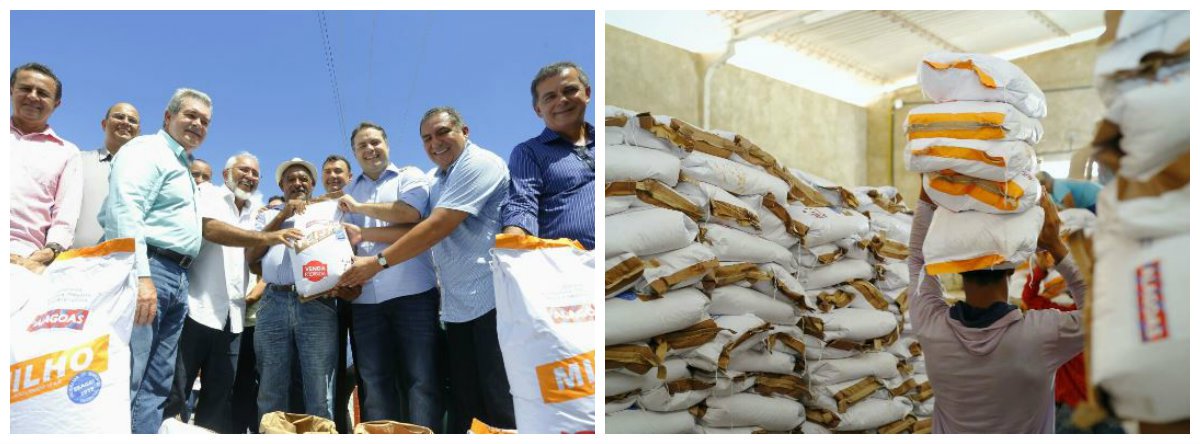 O governo de Alagoas entregou a produtores da agricultura familiar de oito municípios do Alto Sertão alagoano 23,5 mil quilos de sementes de feijão, milho e sorgo; distribuição beneficiou mais de 11 famílias dos municípios de Delmiro Gouveia, Água Branca, Canapi, Piranhas, Mata Grande, Pariconha, Olho D'Água do Casado e Inhapi