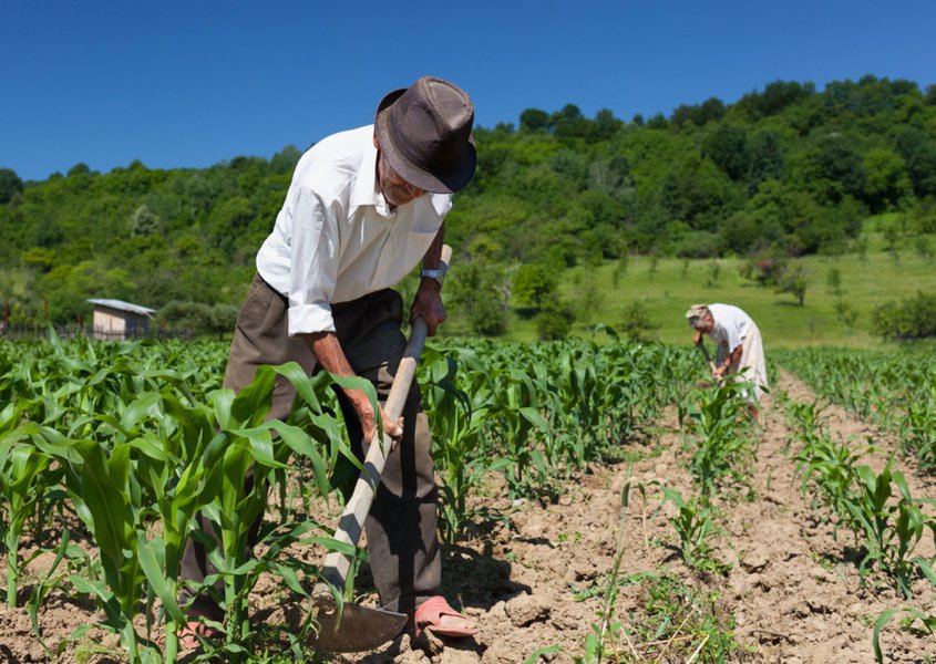 O que se quer fazer com a vida da grande massa de trabalhadores do campo beira a imoralidade. Estamos falando de uma camada das mais pobres da população brasileira, que trabalha de sol a sol para sobreviver, sobretudo num momento de seca como o que hoje atravessamos