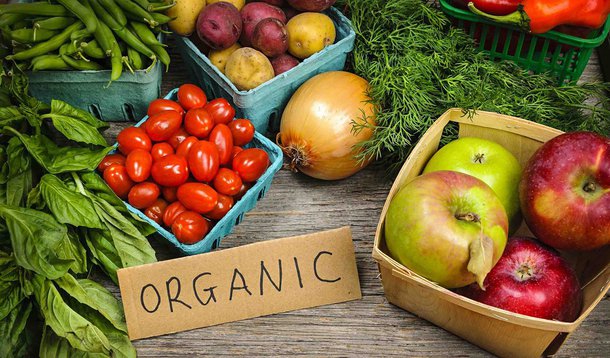 Uma pesquisa nacional, realizada pelo Sebrae, revela que há boas oportunidades para pequenos negócios que queiram investir na oferta de alimentação saudável e diferenciada; de acordo com o levantamento, apenas 6% das micro e pequenas empresas apostam nesse segmento, que é um novo nicho de mercado; dos poucos que comercializam alimentação saudável, 56% trabalham com comida orgânica, 18% saladas especiais, 6% vegetariana e 6% produzem alimentação saudável para crianças