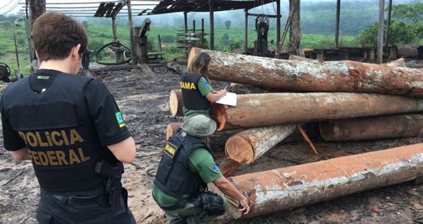 Polícia Federal, em conjunto com o Ibama e a Polícia Rodoviária Federal, deflagrou a Operação Maravalha com o objetivo de combater a prática de crimes ambientais ligados à extração, ao transporte e à comercialização ilegal de madeira proveniente da Terra Indígena Caru, da Terra Indígena Araribóia e da Reserva Biológica do Gurupi, no sudoeste do estado do Maranhão; em decorrência de 3 ações civis públicas, foram executadas 10 interdições de serrarias clandestinamente instaladas nos municípios de Arame/MA, Amarante/MA e Buriticupu/MA