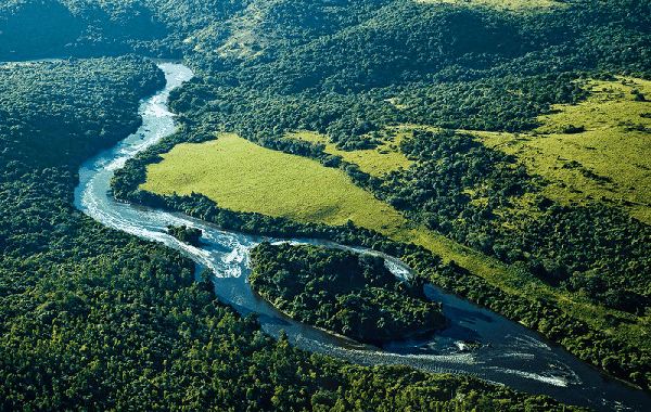 O tratamento à Renca mostra nitidamente que o governo atual não vê a implantação de projetos nacionais como questão estratégica para a soberania. Revela seu desprezo aos povos indígenas e à Amazônia, região estratégica para o País