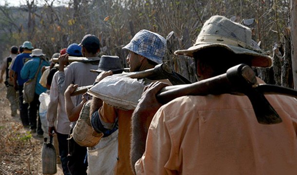 Pesquisa da Universidade de Harvard mostra um dado alarmante: a escravidão é até 30 vezes mais lucrativa hoje do que nos séculos 18 e 19; estudo do professor Siddharth Kara mostra que o lucro gerado por escravo a seu explorador chega a US$ 3.978 (equivalentes a R$12.447). Já a escravidão humana para fins sexuais gera quase dez vezes esse valor: US$ 36 mil (equivalentes a R$112.651); a OIT estima que existam 21 milhões de pessoas em escravidão no mundo nos dias de hoje