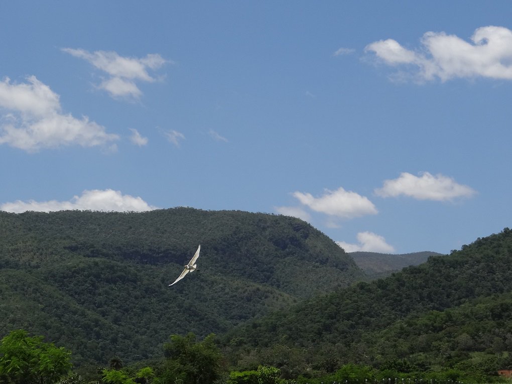 O estado de Goiás conta oficialmente com mais duas reservas ambientais. Juntas, as Reservas Particulares do Patrimônio Natural (RPPNs) de Komodo e Diamante somam 539 hectares e estão localizadas no município de Alto Paraíso; Reserva de Komodo possui 169,78 hectares e é parte da Fazenda São Bartolomeu, enquanto a Reserva de Diamante possui 369,27 hectares e é composta por áreas da Fazenda Quati; proprietários de terra que se interessam por criar suas reservas têm responsabilidades e benefícios; eles recebem isenção tributária sobre a área protegida e têm prioridade na aquisição de financiamentos bancários
