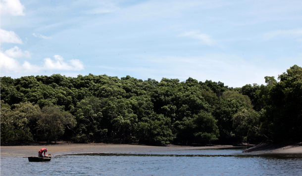 De domingo (4) a domingo (11), a Prefeitura de Fortaleza promove a Semana do Meio Ambiente 2017, com o tema No lugar de lixo, árvores e flores". A programação reúne diversas atividades como educação ambiental, plantios, limpezas e passeio ciclístico. Confira