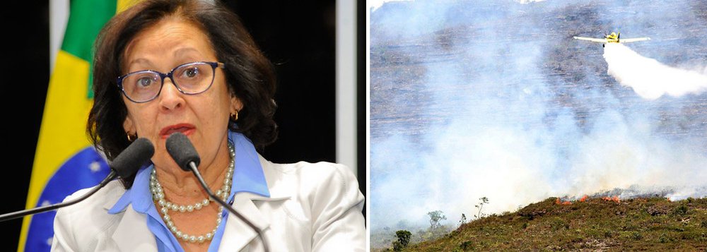 O Ministério da Integração Nacional autorizou a abertura de licitação para a aquisição de dez torres com o objetivo de transmitir sinal via rádio para a troca de informações visando o combate aos incêndios florestais, muito comuns nessa época do ano, naquela região; os recursos, da ordem de R$ 500 mil, oriundos de emenda parlamentar da senadora Lídice da Mata (PSB-BA), permitirá também a distribuição de cartilhas para a prevenção de queimadas e capacitação de pessoal