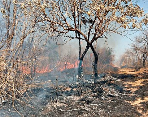 Dados são da Secretaria de Estado de Meio Ambiente e Desenvolvimento Sustentável (Semad) apontam que a destruição causada por incêndios em áreas de preservação ambiental no estado já soma 842 hectares apenas em agosto, o que corresponde a mais de 800 campos de futebol; não chove há 81 dias na Grande BH; foto: Parque Estadual Serra Verde, na região de Venda Nova