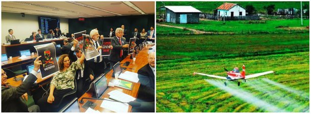 Deputada federal Jandira Feghali (PCdoB-RJ) denunciou um lobby para a votação a portas fechadas revogação da Lei de Agrotóxicos na Câmara dos Deputados; a parlamentar afirmou ser necessário "democratizar o acesso a uma discussão absolutamente de impacto direto sobre a vida das pessoas"