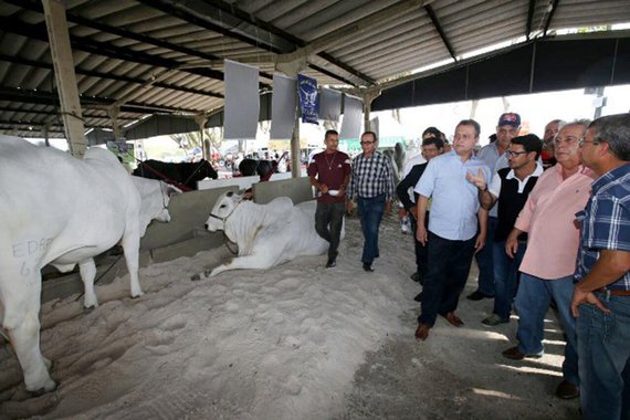 Durante evento da agroindústria, o governador Rui Costa (PT) revelou que vai assinar o contrato para duplicação da rodovia que liga as cidades de Itabuna e Ilhéus, o que está previsto para o mês de outubro; “Retorno em breve para assinar o contrato da duplicação da rodovia Ilhéus- Itabuna, esse grande sonho que a região tem há muitas décadas. Muitos desses sonhos estão sendo materializados, como a barragem do Rio Colônia, a ponte de Ilhéus, o novo hospital da Costa do Cacau. São marcos históricos, que a região espera há muitas décadas”, afirmou Rui