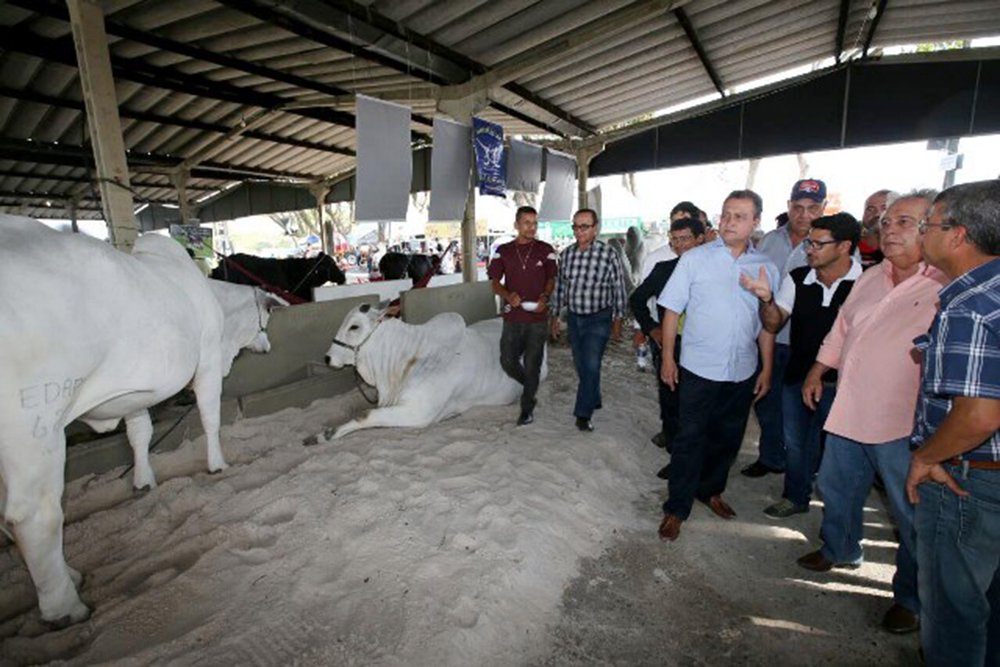 Durante evento da agroindústria, o governador Rui Costa (PT) revelou que vai assinar o contrato para duplicação da rodovia que liga as cidades de Itabuna e Ilhéus, o que está previsto para o mês de outubro; “Retorno em breve para assinar o contrato da duplicação da rodovia Ilhéus- Itabuna, esse grande sonho que a região tem há muitas décadas. Muitos desses sonhos estão sendo materializados, como a barragem do Rio Colônia, a ponte de Ilhéus, o novo hospital da Costa do Cacau. São marcos históricos, que a região espera há muitas décadas”, afirmou Rui