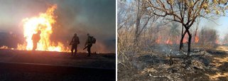 Bombeiros e brigadistas continuam a combater o incêndio no Parque Estadual da Serra do Rola Moça, na Região Metropolitana de Belo Horizonte; segundo a corporação, mais de 60 pessoas trabalham no parque nesta manhã; militares informaram que o fogo chegou perto de moradias