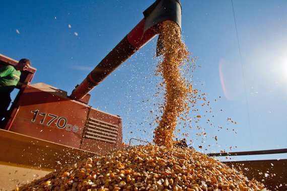 Levantamento do Instituto Mauro Borges (IMB) aponta que o Produto Interno Bruto (PIB) de Goiás cresceu 1,4% no segundo trimestre de 2017, enquanto o do País obteve crescimento de apenas 0,3%, em comparação ao mesmo período de 2016; conforme o IMB destaca no levantamento, em relação ao primeiro semestre, a agropecuária desempenhou importante papel de contrapeso e foi o destaque entre os setores, com crescimento de 22,4%, em razão do expressivo aumento do volume de produção, principalmente de milho