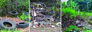 Um grupo de pessoas diz que joga lixo no Parque Estadual da Lagoa da Jansen (APA), em São Luís (MA), por falta de um contêiner e pelo abandono do poder público; a área mais crítica vai do final da Rua das Andirobas até o final da Av. Grande Oriente no bairro do Renascença (sentido Clínica São Marcos - Lagoa), considerada área nobre da cidade; são quase 500 metros de área onde estão sendo despejados os lixos no entorno da lagoa, entre o calçadão e a margem