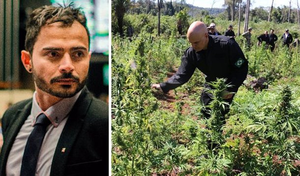 Jornalista do The Intercept lembra que, caso seja aprovado pelo Senado e nomeado para o STF, Alexandre de Moraes precisará apresentar um voto no processo em julgamento pela Corte que prevê a descriminalização do uso e do porte da droga e, com sua posição incisiva, pode até influenciar a posição dos outros ministros da Corte sobre o tema; Moraes já externou o desejo de erradicar a maconha de todo o continente numa já fracassada "guerra às drogas"; no extremo oposto do que defende Moraes, o ministro Luís Roberto Barroso tem manifestado que "a guerra ao tráfico fracassou e a legalização da maconha deve ser paulatina e controlada"