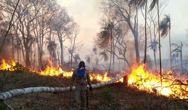 O fogo voltou a atingir parte da Terra Indígena Araribóia, no sudoeste do Maranhão, onde vivem cerca de 12 mil indígenas; o Centro Nacional de Prevenção e Combate aos Incêndios Florestais está com 40 brigadistas no local, que já perdeu 43 mil dos 413 mil hectares de vegetação desde agosto por conta dos incêndios  