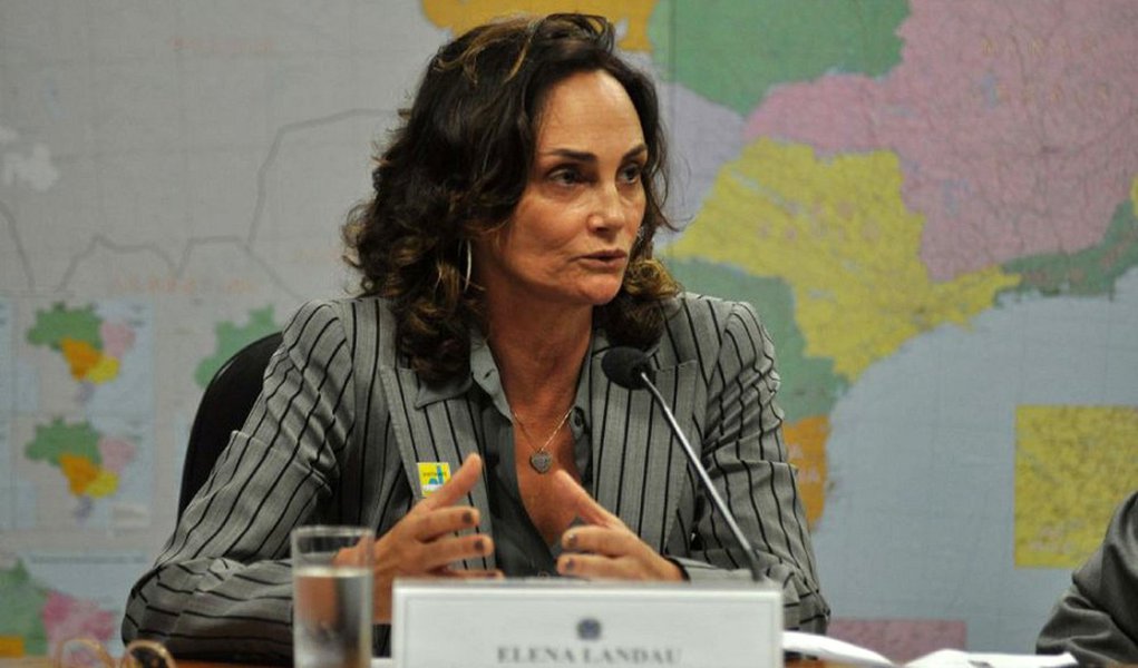 A economista Elena Landau, ex-presidente do conselho da Eletrobras e ex-diretora de privatização do BNDES na era Fernando Henrique Cardoso, chamou o novo programa partidário tucano de 'fraco e cheio de platitudes'; de acordo com Elena, faltou ousadia na formulação do documento: 'Para fazer algo assim, era melhor não ter feito nada'