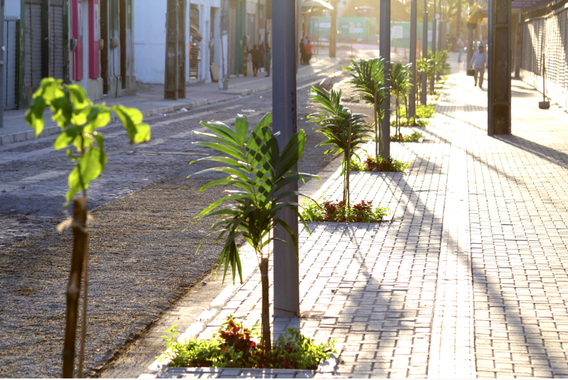 As obras de requalificação da rua José Avelino e Alberto Nepomuceno, no Centro, serão entregues à população pelo prefeito Roberto Cláudio (PDT) nesta sexta-feira (8), após quatro meses de trabalhos. Com investimento de R$ 2 milhões, as vias ganharam nova iluminação, calçadas mais largas e acessíveis, ciclofaixa, ecoponto, recapeamento asfáltico, pavimentação e paisagismo ao longo dos passeios e canteiro central