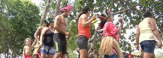 Comissão Pastoral da Terra Regional Maranhão (CPT-MA) denunciou o que chamou de "mais um ato brutal de violência contra a vida dos povos da terra, que desta vez atinge os indígenas Gamela", no Povoado de Bahias, em Viana (MA); um ataque de pistoleiros contra os índios deixou 13 feridos; a Secretaria de Estado da Saúde confirma sete; segundo a CPT-MA, a ação foi articulada por fazendeiros e pistoleiros da região, que, através de um texto no Whatsapp, convocavam pessoas para o ataque contra os indígenas"; a entidade também disse estar indignada com "discursos de incitação ao ódio" contra indígenas, "o que foi feito pelo deputado federal Aluísio Guimarães Mendes Filho (PTN/MA) ao conceder entrevista em rádio local após a retomada feita pelos Gamela no dia 28"; vídeo