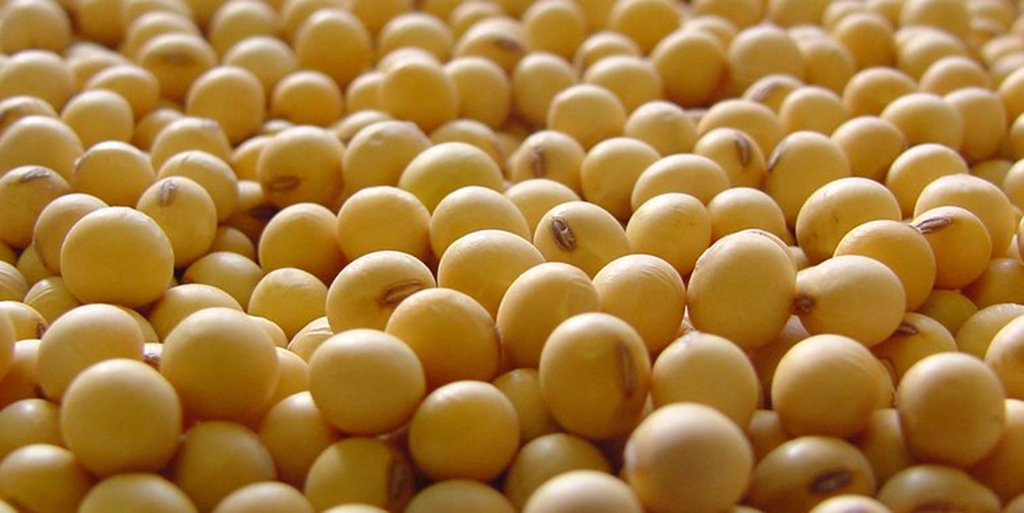 O IBGE divulgou os números da safra agrícola do Piauí para este ano (setembro de 2016 a março de 2017), em levantamento realizado em todos os 224 municípios do estado; a produção estimada de grãos (caroço de algodão, arroz, fava, feijão, milho e soja) é de 4.078.693 toneladas, o que, de acordo com o Supervisor da Pesquisa Agrícola do IBGE no Piauí, Pedro Andrade, se constitui em uma safra recorde no estado do Piauí, superior 181,53% em relação a safra obtida em 2016 (setembro de 2015 a março de 2016), em se mantendo as condições climáticas favoráveis; a área total cultivada nesta safra com estas culturas é de 1.448.770 ha