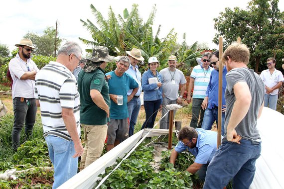 Com a estimativa de reduzir de 20% a 30% o consumo de água na Bacia do Descoberto, a Empresa de Assistência Técnica e Extensão Rural do Distrito Federal (Emater-DF) percorrerá cerca de 600 propriedades irrigantes; o trabalho começa nesta terça-feira (21) e segue durante 30 dias; “Vamos demonstrar técnicas simples e baratas para incentivar os agricultores a consumir menos água sem prejudicar a produção”, explica o coordenador do Programa de Hortaliças da Emater, Antônio Dantas