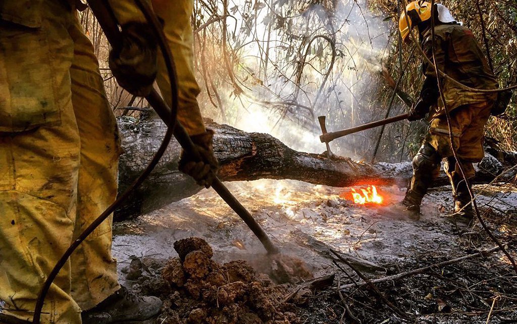 O Corpo de Bombeiros informou que o fogo voltou a atingir o Parque Estadual da Serra do Rola Moça, no bairro Pongelupe, na Região do Barreiro, em Belo Horizonte; segundo a corporação, o incêndio destrói uma mata da Companhia de Saneamento de Minas Gerais (Copasa) que, recentemente, foi integrada ao parque; os bombeiros veem o incêndio como algo intencional