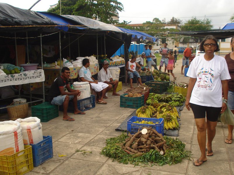 Apesar de Maceió ter apresentado a maior redução na diferença entre o Índice de Desenvolvimento Humano Municipal (IDHM) dos brancos e negros, os indicadores isolados da Grande Maceió referentes às populações negra e branca, além de sexo e área urbana, são os menores do Brasil; as condições de vida para mulheres também são as piores na Região Metropolitana da capital