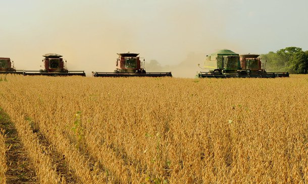 Os produtores rurais do oeste da Bahia ajudaram a colocar sete municípios do Estado entre as 100 maiores economias agrícolas do Brasil; São Desidério, em primeiro; e Formosa do Rio Preto, em segundo lugar, lideram o ranking, que tem ainda Barreiras, em 11º; Correntina, em 17º; Luís Eduardo Magalhães, em 20º; Riachão das Neves, em 44º; e Rio Real, em 65º; "Um destaque muito positivo é a região oeste, no setor agropecuário, com a produção de soja e algodão, e de milho, com menor notoriedade", ressalta João Paulo Caetano Santos, coordenador de Contas Regionais e Finanças Públicas da SEI