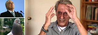 "Temer parece pombo de catedral: peito estufado e só faz cagada!", diz o colunista José Simão; ontem, Michel Temer foi apontado pela Polícia Federal como chefe do quadrilhão e o STF autorizou novo inquérito por propinas no porto de Santos
