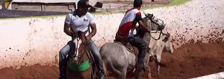 O TJ-MG determinou o cancelamento das provas de vaquejada previstas para celebração de 105 anos da emancipação do município de Coração de Jesus, no norte de Minas; a juíza Luciana de Oliveira Torres reconheceu que o evento movimenta o comércio e atrai investimentos para a região, mas considerou que os benefícios se dariam às custas do sofrimento dos animais; a decisão, em caráter liminar, foi concedida atendendo pedido do MP-MG em ação civil pública