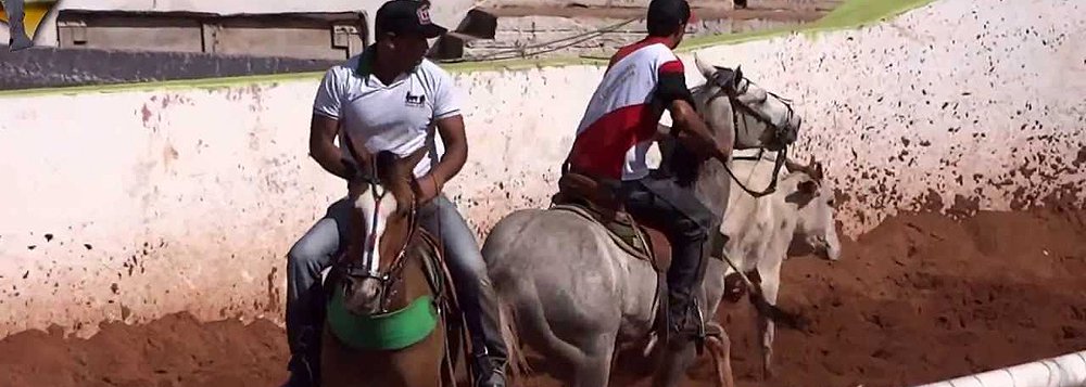 O TJ-MG determinou o cancelamento das provas de vaquejada previstas para celebração de 105 anos da emancipação do município de Coração de Jesus, no norte de Minas; a juíza Luciana de Oliveira Torres reconheceu que o evento movimenta o comércio e atrai investimentos para a região, mas considerou que os benefícios se dariam às custas do sofrimento dos animais; a decisão, em caráter liminar, foi concedida atendendo pedido do MP-MG em ação civil pública