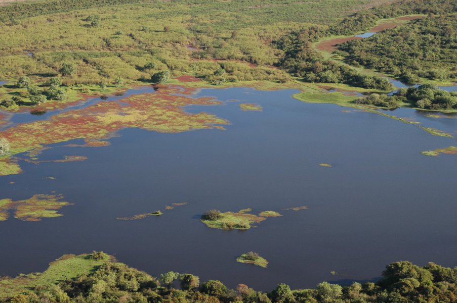 O governo de Minas retomou, por meio do Instituto Estadual de Florestas (IEF), os pagamentos a 851 proprietários e posseiros rurais de Minas Gerais que participam do Programa Bolsa Verde; o montante de recursos disponibilizado para esses beneficiários soma, neste mês, pouco mais de R$ 5,04 milhões e é destinado à regularização dos repasses que estavam suspensos; durante todo o ano de 2016, o IEF demandou à Secretaria de Estado da Fazenda (SEF) a liberação dos recursos financeiros necessários para o pagamento dos beneficiários do programa