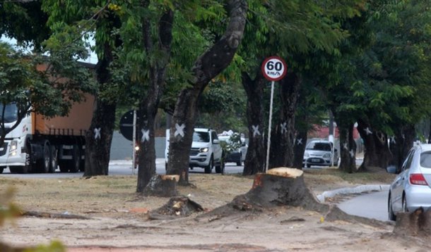 Para dar maior fluidez ao tráfego de veículos no entorno da rotatória onde havia um posto da Polícia Rodoviária Federal (PRF) no bairro do Tabuleiro, em Maceió, 400 árvores serão suprimidas; a obra está em um dos principais pontos estratégicos de infraestrutura viária da capital, no entroncamento das rodovias federais BR-316 e BR-104; a construção tem orçamento de R$ 78 milhões e os recursos provêm, em sua maioria, do governo federal (Ministério dos Transportes), mas com contrapartida do governo de Alagoas