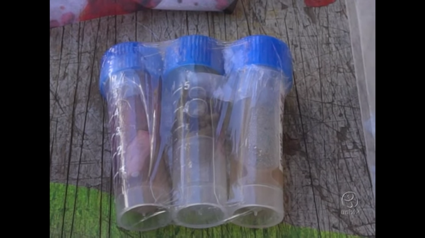 O professor de bioquímica e biologia celular e molecular da Universidade Federal Fluminense (UFF), Fábio Aguiar Alves, está testando vacinas contra infecções hospitalares causadas pelas bactérias Staphylococcus aureus e Pseudomonas aeruginosa; testes, com apoio de alunos de graduação e cinco outros pesquisadores, são feitos na Escola de Medicina da Universidade da Califórnia, em San Francisco, nos Estados Unidos