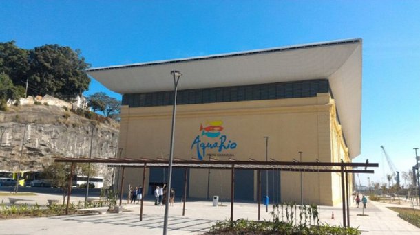 O AquaRio, aquário marinho do Rio de Janeiro, que será aberto ao público no próximo dia 9, começa hoje (4) a vender seus ingressos avulsos pela internet; no site www.aquario.rio/ingressos, o internauta compra o ingresso e escolhe o dia e o horário da entrada no aquário; AquaRio reúne 3 mil animais de 350 espécies diferentes de todos os oceanos, espalhados por 28 tanques