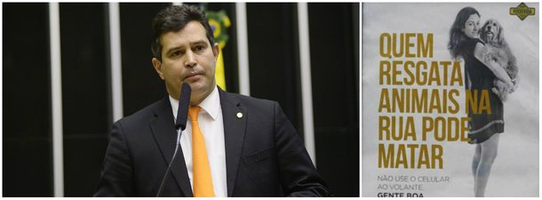Ministro dos Transportes, Maurício Quintella Lessa, telefonou nesta quarta-feira 4 para o deputado do PSDB Ricardo Tripoli e disse que vai retirar a polêmica propaganda "Gente boa também mata", sobre segurança no trânsito; ele chegou a admitir que foi uma propaganda infeliz e pediu desculpas a Tripoli; o deputado, conhecido pelo trabalho em defesa dos animais, havia enviado um ofício pedindo que a propaganda fosse retirada