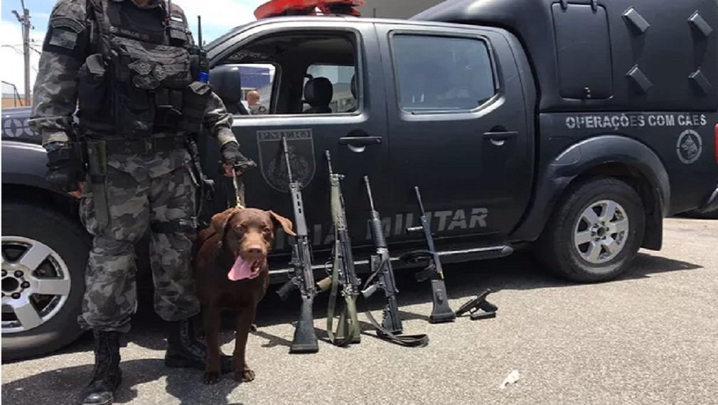 Unidades da Polícia Militar continuam ocupando as principais ruas e as vielas da Cidade de Deus, na zona oeste da cidade, onde, no início da noite do último sábado (19), houve intensa troca de tiros entre policiais e traficantes que dominam a área, no mesmo local onde que ocorreu a queda de um helicóptero da PM que levou à morte quatro militares; segundo a polícia, foram feitas até agora sete prisões e a apreensão de 1.136 trouxinhas de maconha, 22 pedras de crack, além de um saco contendo um quilo de cocaína e 132 sacolés da droga 