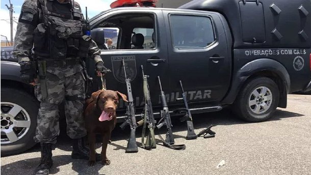 Unidades da Polícia Militar continuam ocupando as principais ruas e as vielas da Cidade de Deus, na zona oeste da cidade, onde, no início da noite do último sábado (19), houve intensa troca de tiros entre policiais e traficantes que dominam a área, no mesmo local onde que ocorreu a queda de um helicóptero da PM que levou à morte quatro militares; segundo a polícia, foram feitas até agora sete prisões e a apreensão de 1.136 trouxinhas de maconha, 22 pedras de crack, além de um saco contendo um quilo de cocaína e 132 sacolés da droga 