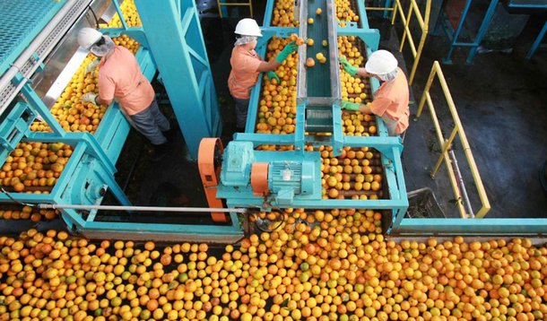 Tribunal do Conselho Administrativo de Defesa Econômica (Cade) celebrou acordo com diversas indústrias de suco de laranja, que admitiram formação de cartel no mercado nacional de aquisição da fruta, prevendo um pagamento conjunto de R$ 301 milhões de reais; Cutrale, Citrovita, Coinbra (Louis Dreyfus Company), Fischer, Cargill, Bascitrus e a extinta associação do setor, Abecitrus, além de nove pessoas físicas, assinaram os acordos, colocando fim a uma investigação iniciada em 1999