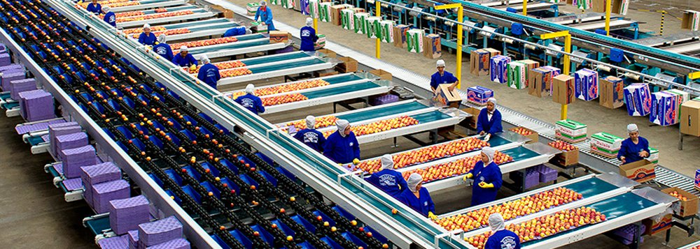 Organização das Nações Unidas para a Alimentação e a Agricultura (FAO) estima que o número mundial de habitantes vai superar os 9 bilhões em 2050; segundo o órgão internacional, a produção mundial de alimentos precisaria aumentar em 60% para assegurar o equilíbrio da segurança alimentar; "Precisamos de mais variedades de alimentos que aguentem as variações de precipitação, de calor, de frio, problemas de enchente. Uma agricultura adaptativa a essas mudanças climáticas", ressalta o representante da entidade no Brasil, Alan Bojanic