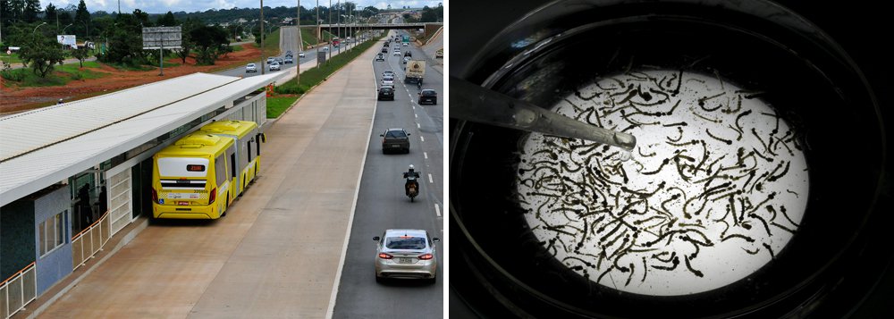 O Ministério da Transparência verificou ineficiência em contratos do governo do Distrito Federal que somam R$ 680 milhões; entre março e abril deste ano, os auditores analisaram contratos em educação, saúde, transporte público e turismo, entre outros; técnicos relatam falhas no sistema do BRT e no combate ao mosquito Aedes aegypti, transmissor da dengue, do vírus zika e da chikungunya; segundo a fiscalização, o BRT está com as obras atrasadas há três anos, apesar de ter recebido R$ 391 milhões; os contratos foram analisados desde a gestão Agnelo Queiroz até agora