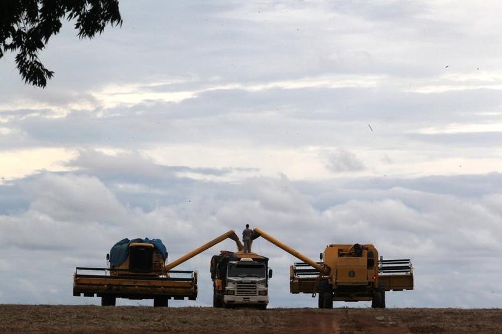 As exportaÃ§Ãµes do agronegÃ³cio brasileiro recuaram 12,5% em agosto na comparaÃ§Ã£o com o mesmo mÃªs do ano passado, somando 8,89 bilhÃµes de dÃ³lares, com a reduÃ§Ã£o sendo puxada por soja, milho, aÃ§Ãºcar e etanol, informou o MinistÃ©rio da Agricultura