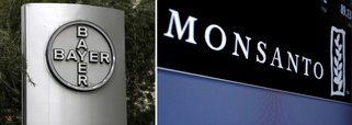 Companhia de produtos químicos e de saúde Bayer adquiriu a companhia de sementes norte-americana Monsanto por US$ 66 bilhões criando um novo líder global na agricultura