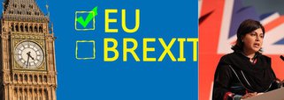Montadoras de veículos e times de futebol declararam seu apoio à permanência da Grã-Bretanha na União Europeia nesta segunda-feira, quando pesquisas de intenção de voto mostraram que a campanha do "fica" ganhou terreno, fortalecendo o mercado de ações e a libra esterlina três dias antes do referendo. Além disso, a ex-co-presidente do conselho do governista Partido Conservador Sayeeda Warsi rompeu com os defensores da saída do bloco, acusando-os de disseminarem mentiras, ódio e xenofobia