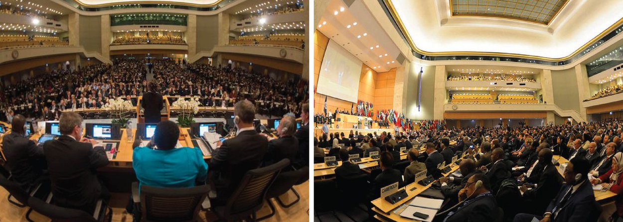 Membros da bancada dos trabalhadores brasileiros presentes na reunião do Comitê de Normas da OIT se levantaram do plenário para denunciar o golpe no Brasil; delegados que representam trabalhadores e sindicatos de mais de 100 países somaram o coro em protesto ao governo brasileiro, suspendendo temporariamente a sessão meio aos protestos de representantes dos trabalhadores; discurso negando golpe teria se dado a mando do ministro José Serra