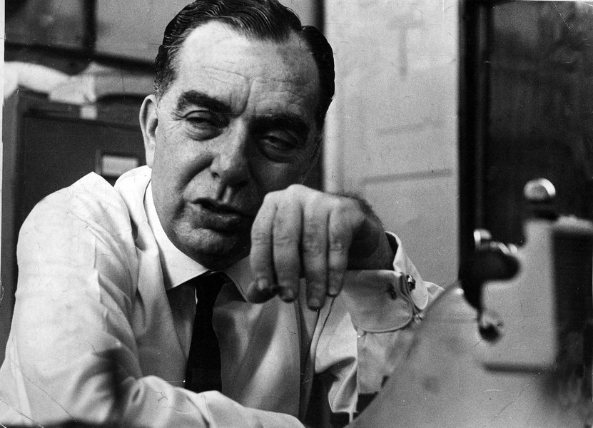 O dramaturgo, jornalista e escritor Nelson Rodrigues, famoso por sua polêmica coluna A vida como ela é, escrita ao longo de dez anos (de 1951 a 1961), será publicado pela primeira vez em Portugal; a responsável pela publicação é Bárbara Bulhosa; “Acho que o público português vai receber o Nelson Rodrigues lindamente, porque ele é um gênio, escreve maravilhosamente e tem uma inteligência fora do comum", diz ela