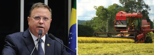 Ministro da Agricultura, Blairo Maggi, afirmou que pretende negociar dentro do governo federal para impedir o avanço de estudos sobre o estabelecimento de uma taxação adicional sobre o agronegócio do país; governo avalia possibilidade de empresas exportadoras do agronegócio passem a pagar contribuição patronal ao INSS em uma reforma da Previdência Social; "O setor da agricultura é importante, o que mais contribui para a economia brasileira. Penalizar quem está sendo eficiente é uma loucura, é um abraço de afogado", disse; família do ministro é proprietária da Amaggi, uma das principais exportadores do agronegócio brasileiro