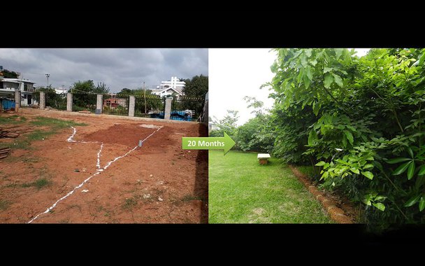  
Shubhendu Sharma cria métodos de florestação que tornam muito mais fácil plantar e manter miniflorestas riquíssimas em biodiversidade. Na foto acima, antes e depois: O terreno vazio, e 20 meses após a intervenção de Shubendu Sharma. 